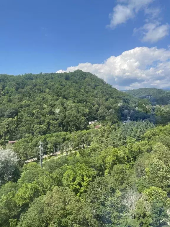 1-к кв. Краснодарский край, Сочи ул. Аллея Челтенхема, 18 (52.0 м) - Фото 1