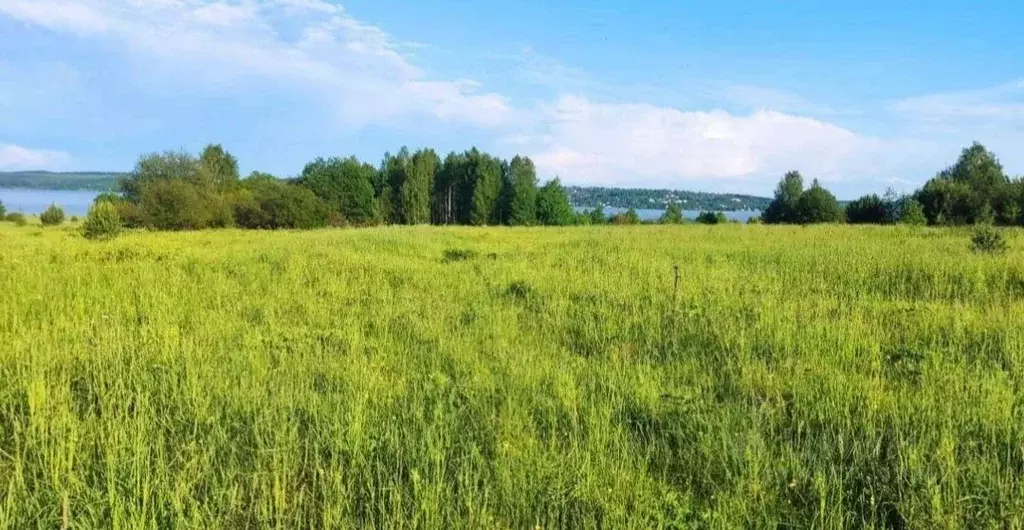 Участок в Пермский край, пос. Ильинский  (4.07 га.) - Фото 2