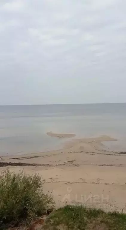 Участок в Псковская область, Гдовский муниципальный округ, д. ... - Фото 2
