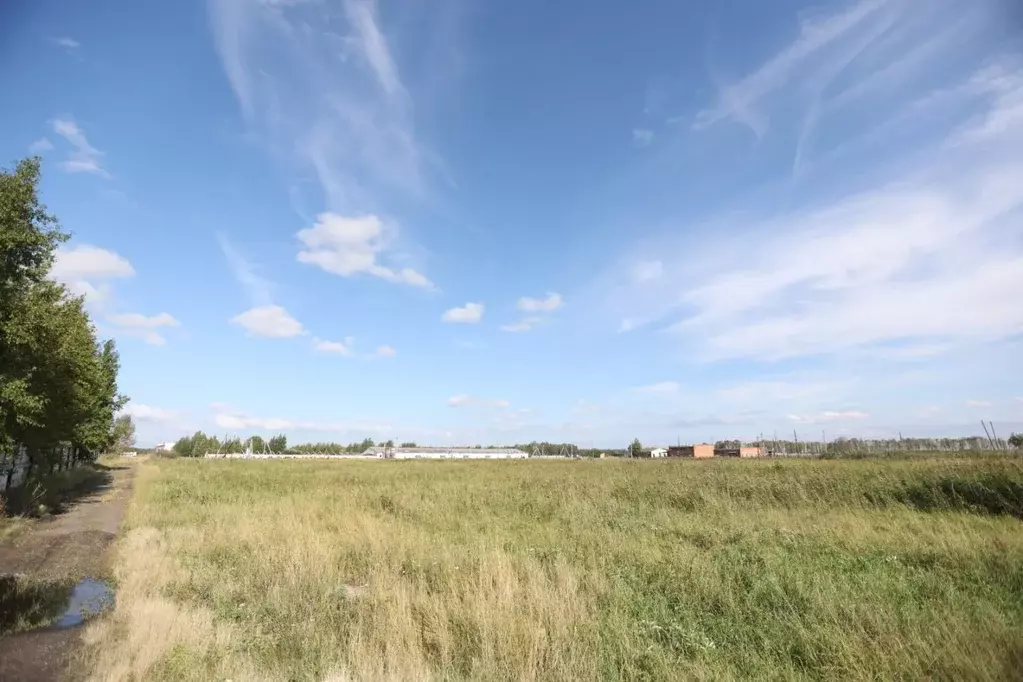 Производственное помещение в Омская область, Горьковский район, пос. ... - Фото 0