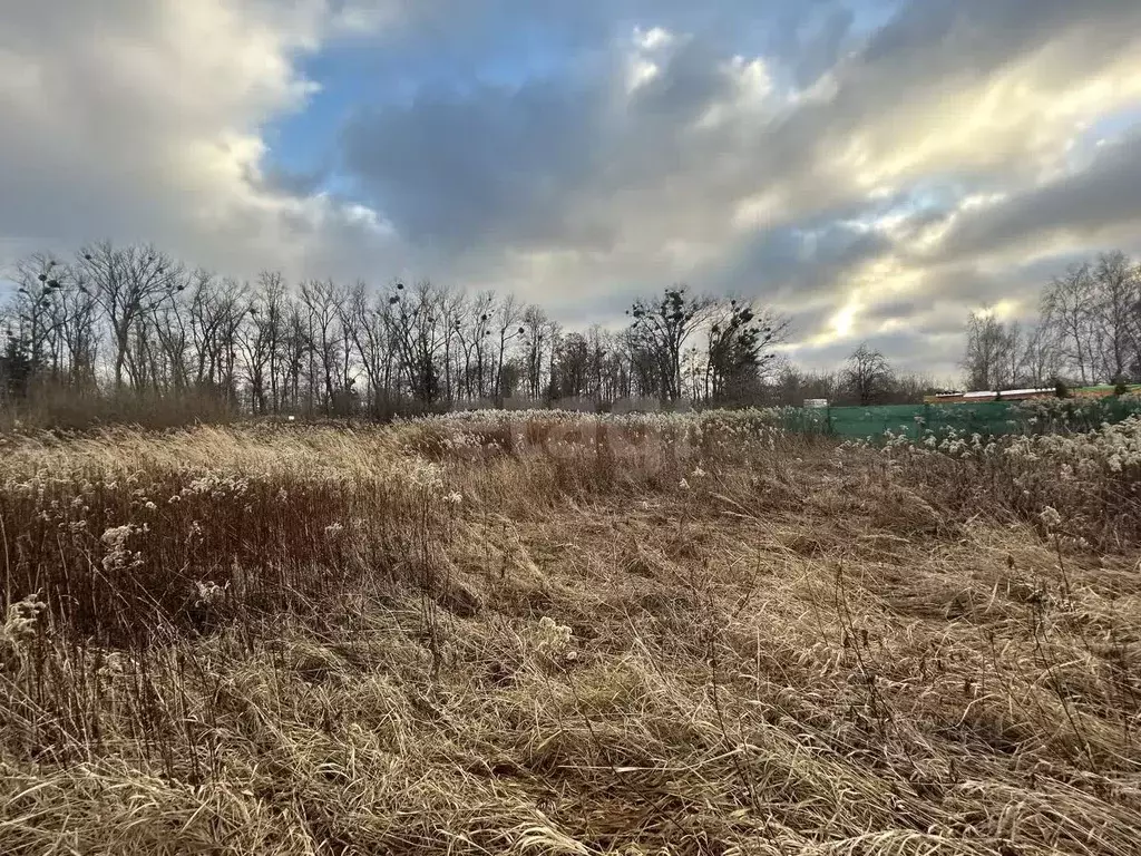 Участок в Калининградская область, Калининград Родник СНТ, ул. ... - Фото 1