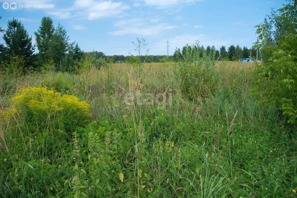 Участок в Искитимский район, село Морозово (9.5 м) - Фото 1