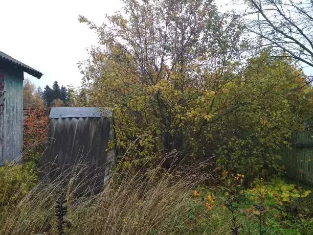 Продается дача в д. Кубасово - Фото 2