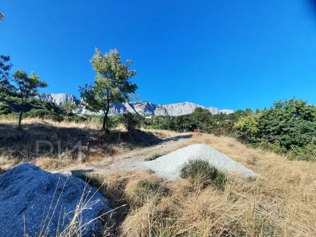 Участок в Крым, Ялта муниципальный округ, Береговое пгт ул. ... - Фото 2