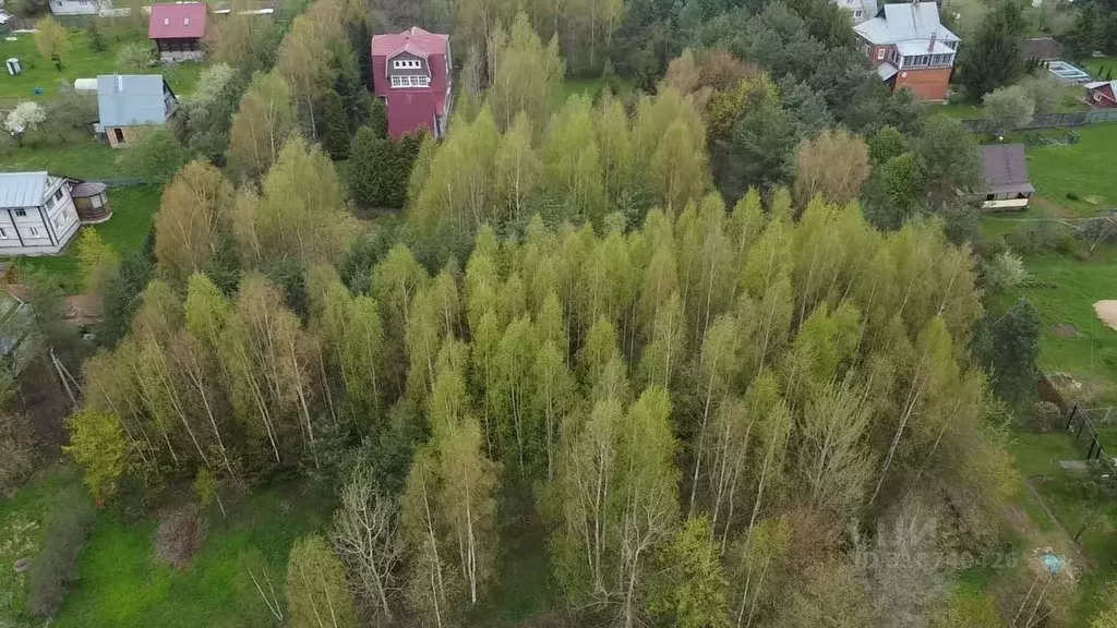 Участок в Московская область, Волоколамский муниципальный округ, д. ... - Фото 0