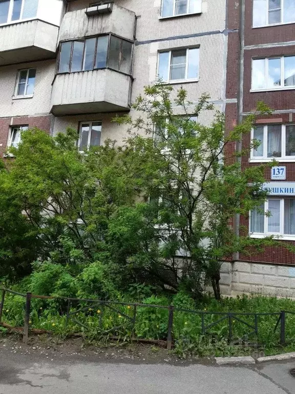 1-к кв. Санкт-Петербург ул. Савушкина, 137К3 (40.0 м) - Фото 1