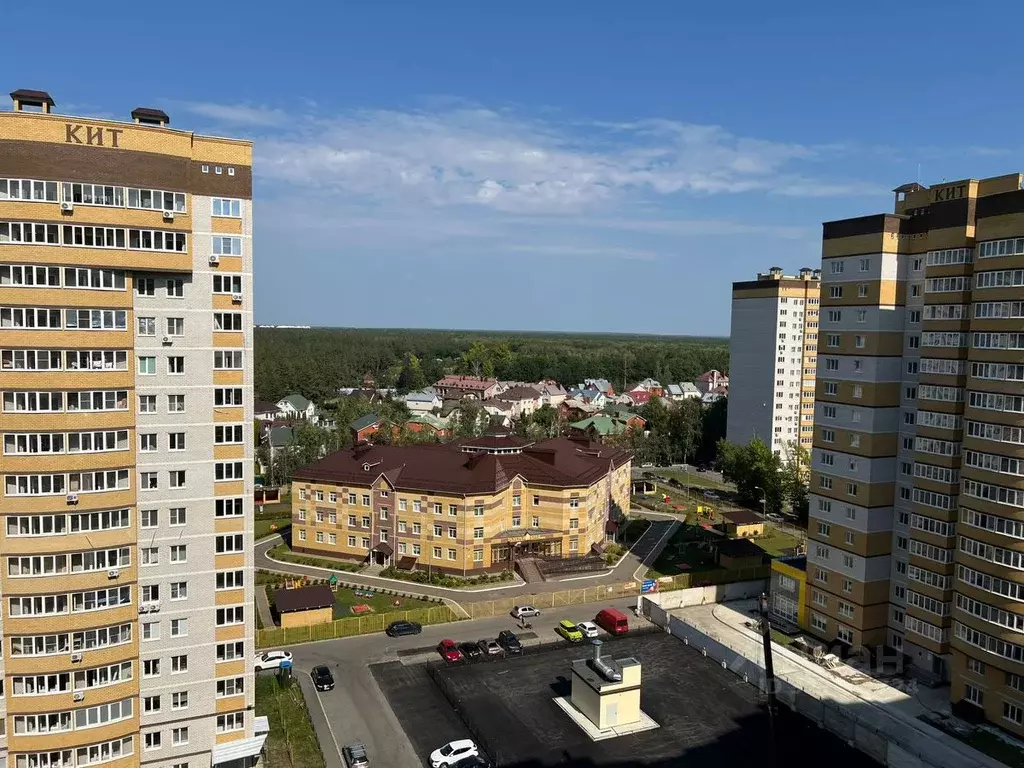 1-к кв. Воронежская область, Воронеж ул. Летчика Филипова, 4 (48.7 м) - Фото 0