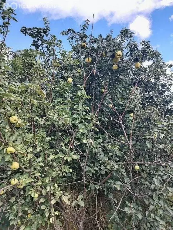 Дом в Бабенково, Крымская улица (49.3 м) - Фото 1