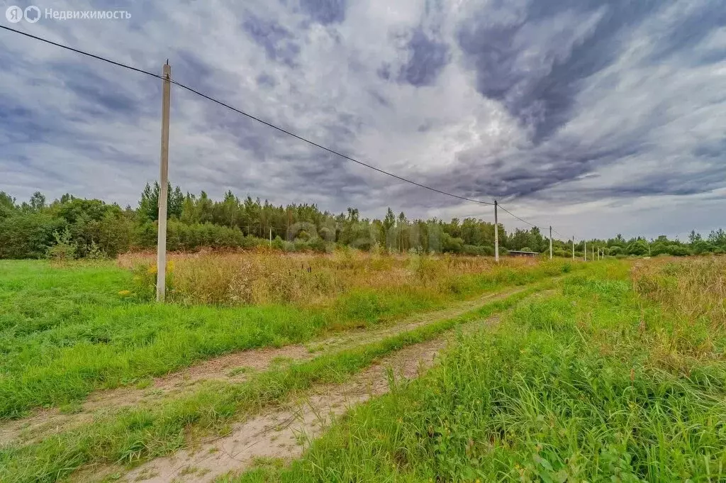 Участок в Ломоносовский район, Низинское сельское поселение, деревня ... - Фото 2