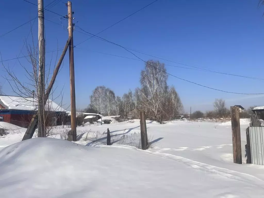 Участок в Алтайский край, Первомайский район, пос. Бажево ул. ... - Фото 1