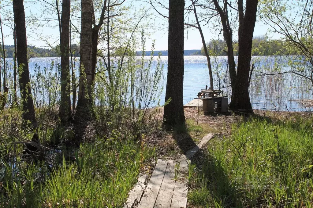 Участок в Ленинградская область, Приозерский район, Мельниковское ... - Фото 1