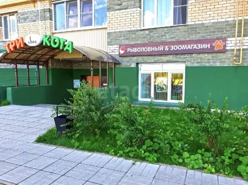 Помещение свободного назначения в Калужская область, Бабынинский ... - Фото 0