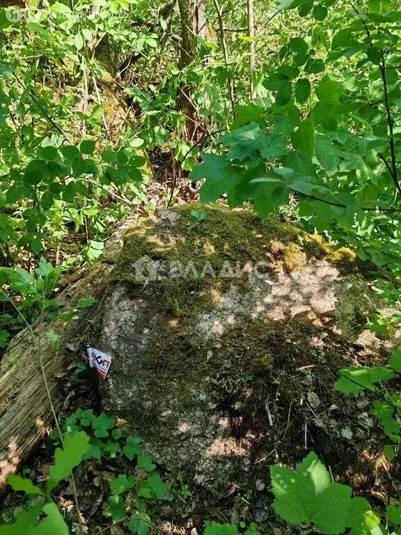 Участок в Выборгский район, Полянское сельское поселение, посёлок ... - Фото 2