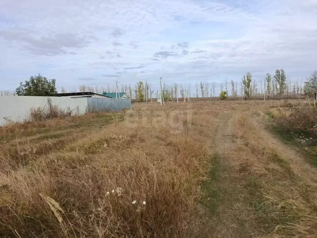 Участок в Белгородская область, Волоконовка рп ул. Курячего, 26 (15.0 ... - Фото 1