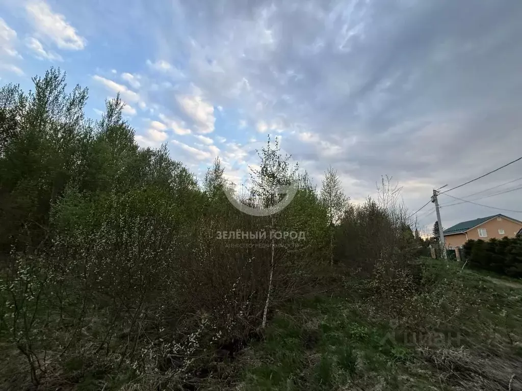 Участок в Московская область, Клин городской округ, д. Афанасово, ... - Фото 2