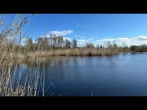 Участок 20 сот. (ИЖС) - Фото 1