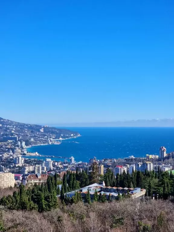 2-к кв. Крым, Ялта муниципальный округ, Виноградное пгт ш. ... - Фото 1