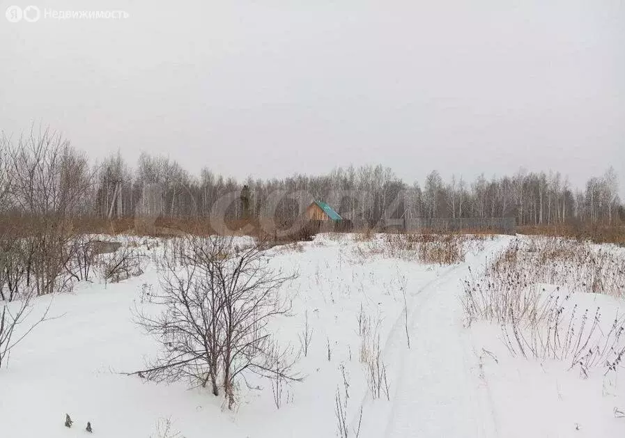 Участок в Тюменский район, ТСН СО Надежда (10 м) - Фото 1