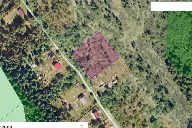 Участок в Новгородская область, Маловишерский муниципальный район, ... - Фото 1