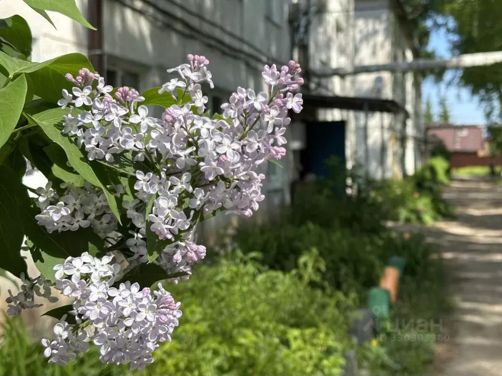 2-к кв. Ульяновская область, Новоульяновск городской округ, с. Криуши ... - Фото 1
