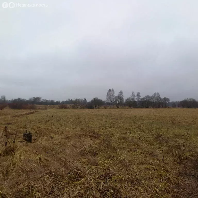 Участок в Московская область, городской округ Серпухов (10 м) - Фото 0