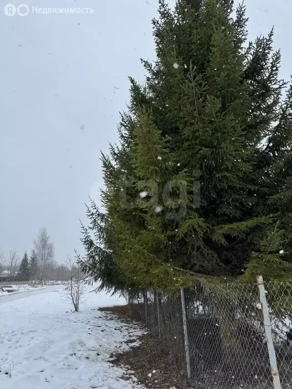 Участок в Тульская область, городской округ Тула, деревня Волоть, ... - Фото 1