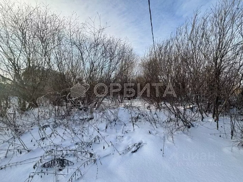 Участок в Тюменская область, Тюменский муниципальный округ, с. Кулига ... - Фото 2
