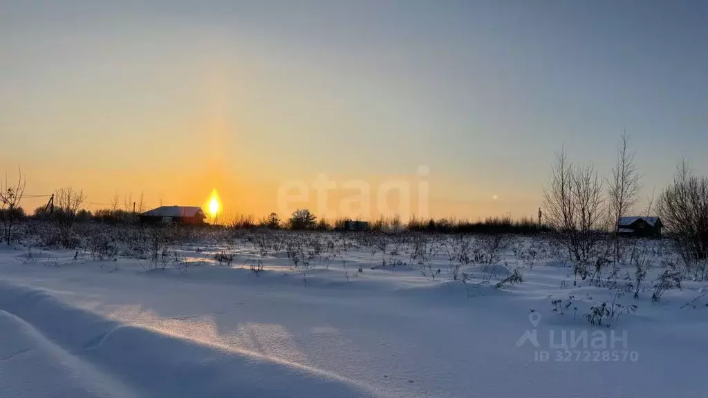 Участок в Тульская область, Тула городской округ, д. Дементеево, ... - Фото 2