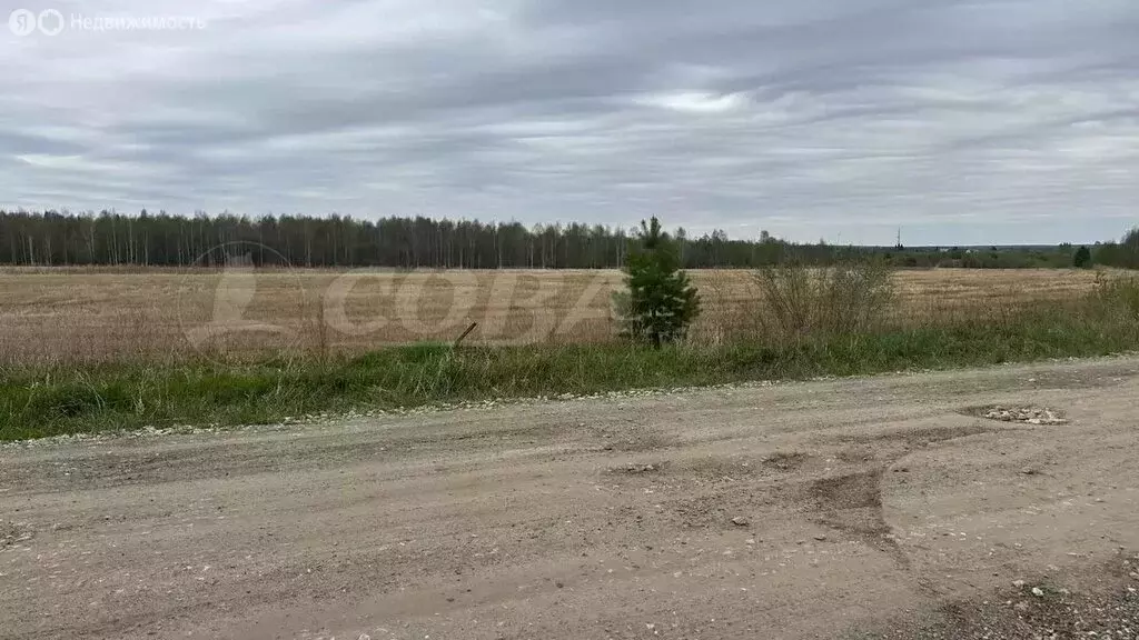 Участок в Свердловская область, Тугулымский муниципальный округ, ... - Фото 0