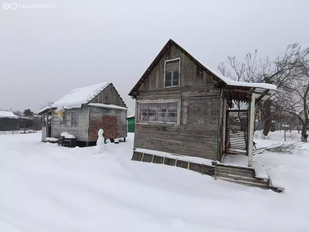 Дом в Тамбов, СНТ Мандарин (20 м) - Фото 2