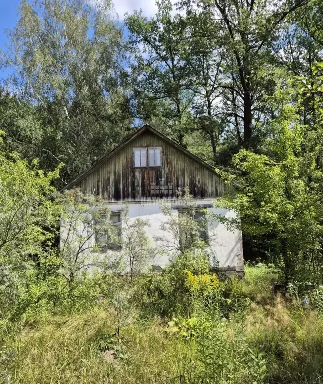 Дом в Воронежская область, Рамонский район, Айдаровское с/пос, Лесовод ... - Фото 1