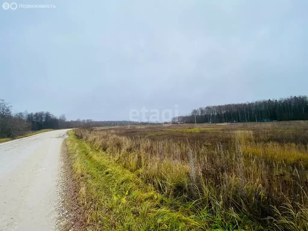 Участок в Владимирская область, муниципальное образование Петушинское, ... - Фото 0