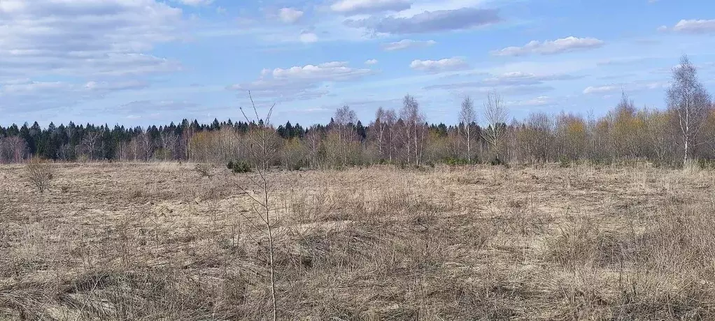 Участок в Московская область, Солнечногорск городской округ, д. Мостки ... - Фото 1