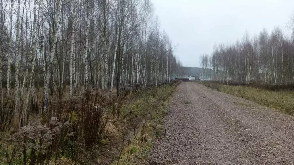 Участок в Московская область, муниципальный округ Чехов, деревня ... - Фото 2