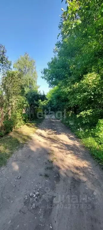 Участок в Воронежская область, Воронеж Лесовод-2 СНТ, ул. Центральная ... - Фото 1