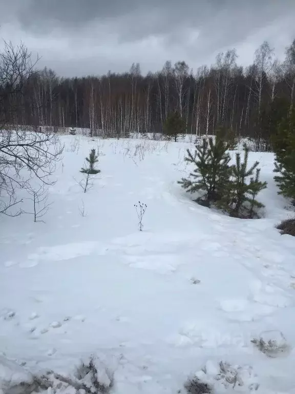 Участок в Тюменская область, Нижнетавдинский район, д. Новопокровка ... - Фото 0