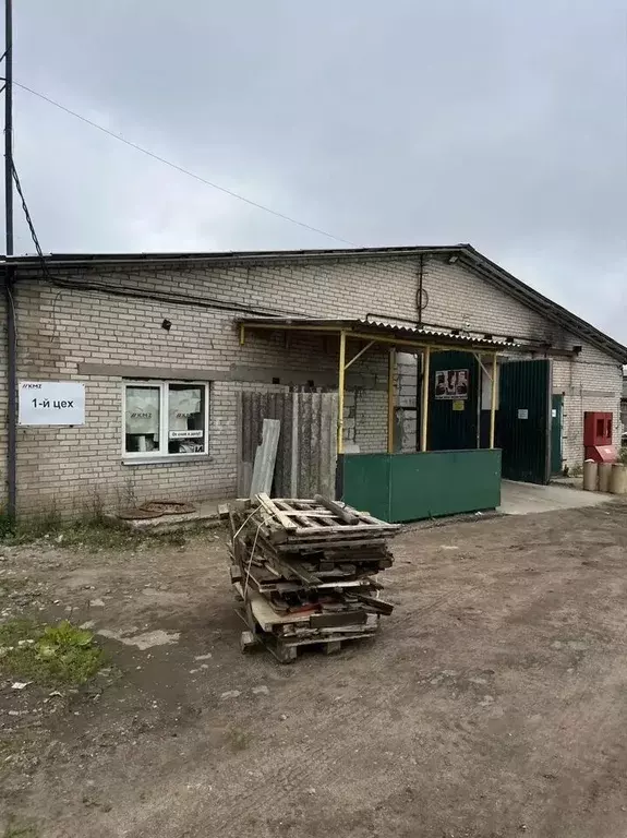 Помещение свободного назначения в Ленинградская область, Волосовский ... - Фото 1