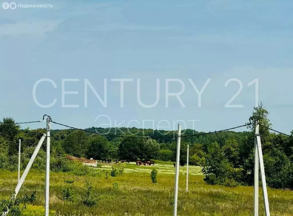 Участок в Калининградская область, Гурьевский муниципальный округ, ... - Фото 2