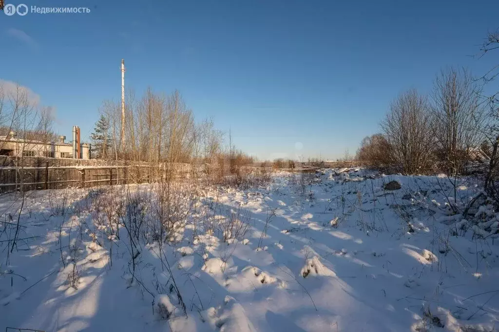 Участок в село Ляды, улица Мира (30 м) - Фото 1