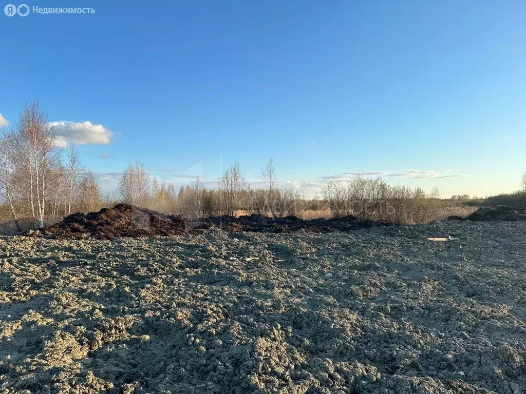 Участок в СНТ Березняки (7.08 м) - Фото 1
