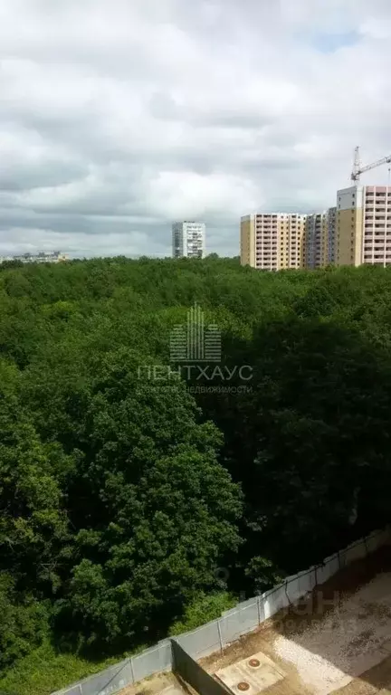 1-к кв. Владимирская область, Владимир ул. Нижняя Дуброва, 54к3 (36.4 ... - Фото 2