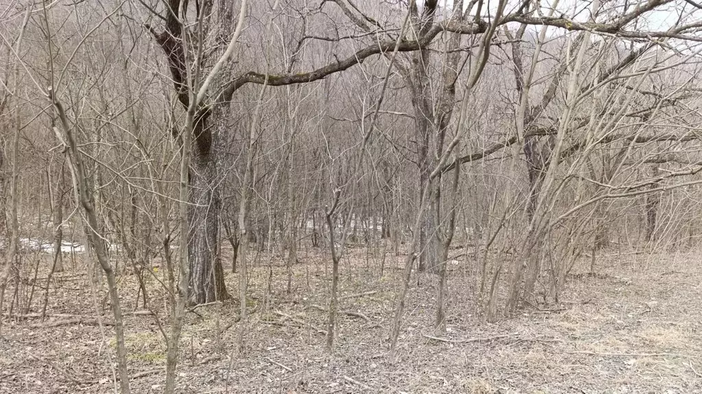 Участок в Северная Осетия, Алагир ул. Чабахан Басиевой (35.0 сот.) - Фото 2