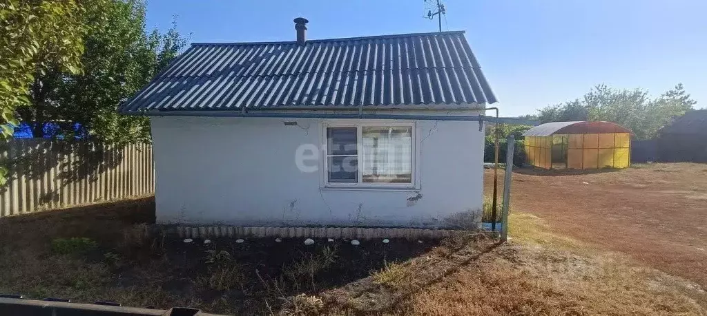 Дом в Белгородская область, Вейделевка рп ул. Октябрьская, 81 (32 м) - Фото 2