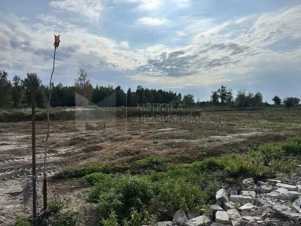 Участок в Тюменская область, Нижнетавдинский район, с. Средние Тарманы ... - Фото 1