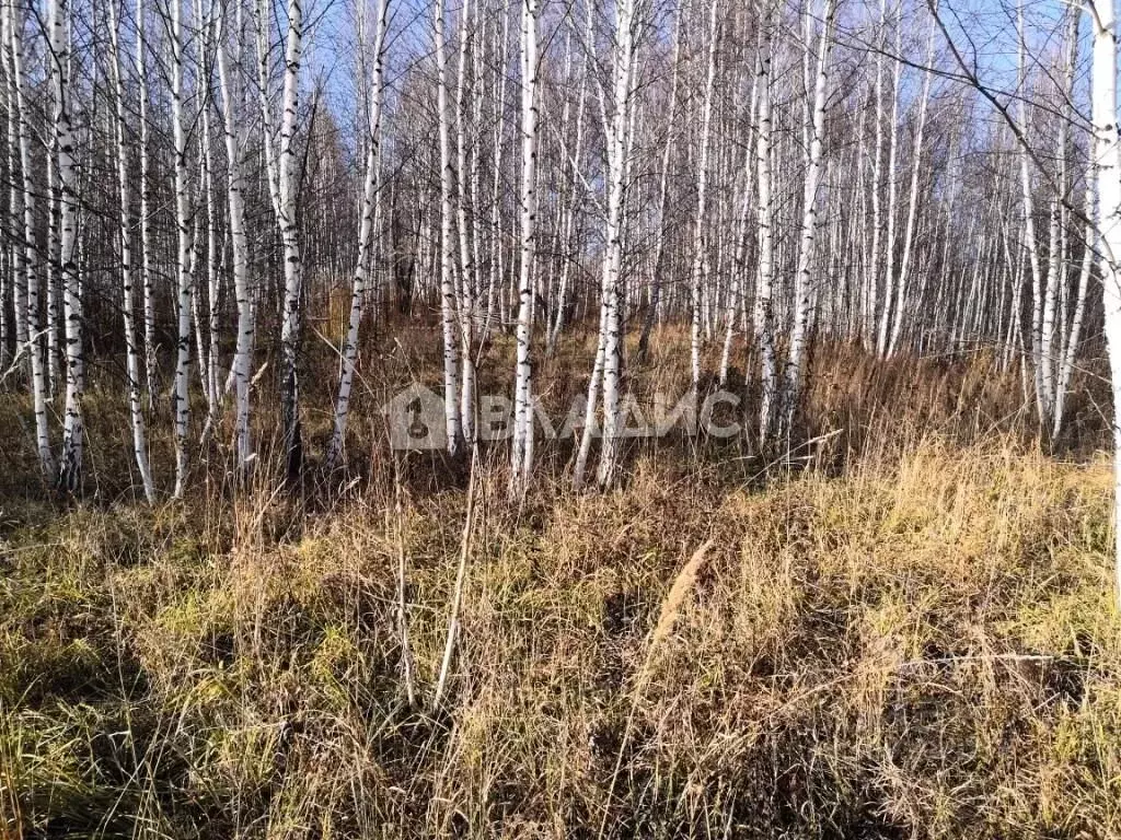 Участок в Новосибирская область, Новосибирский район, Барышевский ... - Фото 0