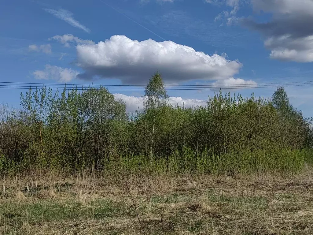 Участок в Московская область, Клин городской округ, д. Вельмогово  ... - Фото 0