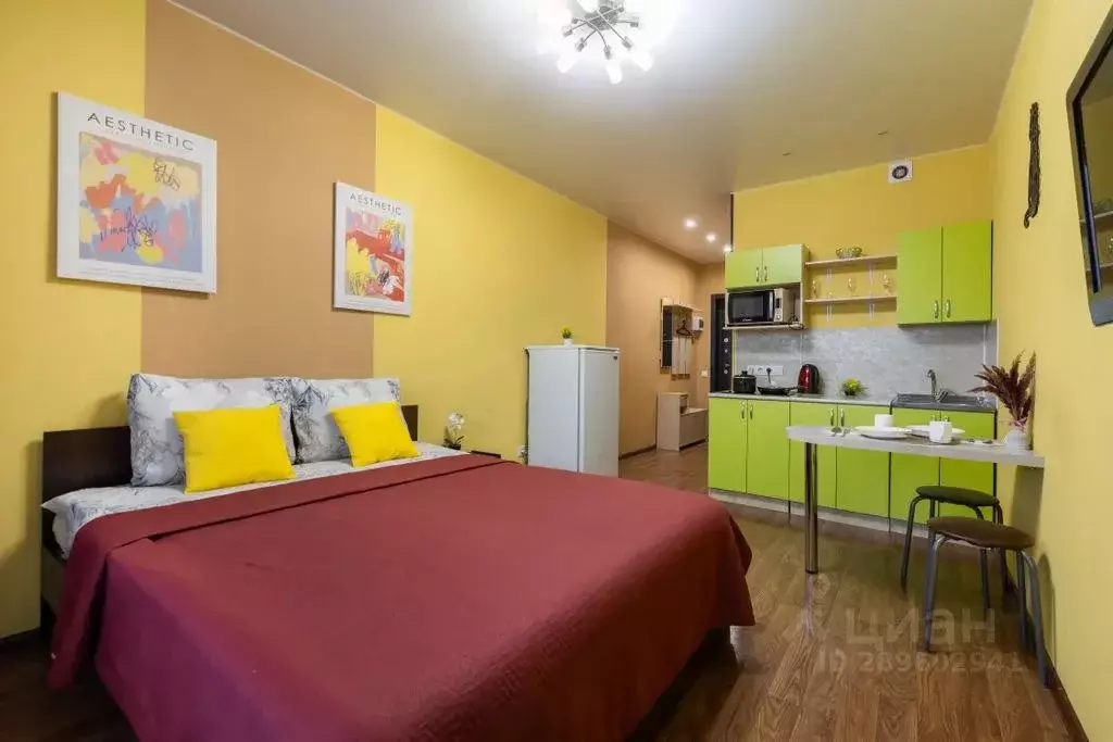 Студия Алтайский край, Барнаул просп. Строителей, 18 (24.0 м) - Фото 1