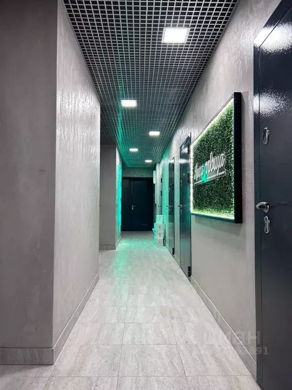 Студия Санкт-Петербург Лиговский просп., 71П (19.4 м) - Фото 1