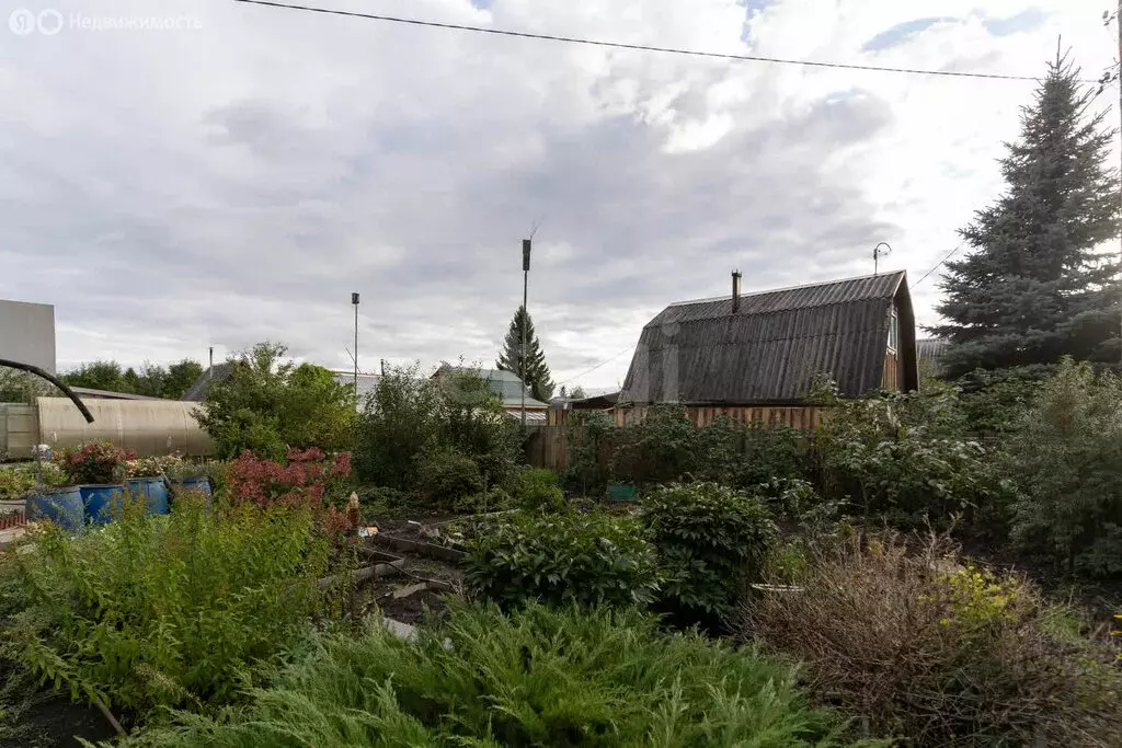 Дом в Тюмень, территория СНТСН Суходольное, Клубничная улица (53.4 м) - Фото 2