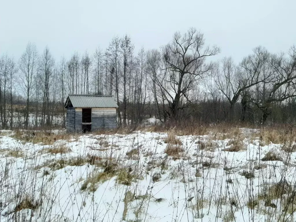 Участок в Ярославская область, Переславль-Залесский городской округ, ... - Фото 0